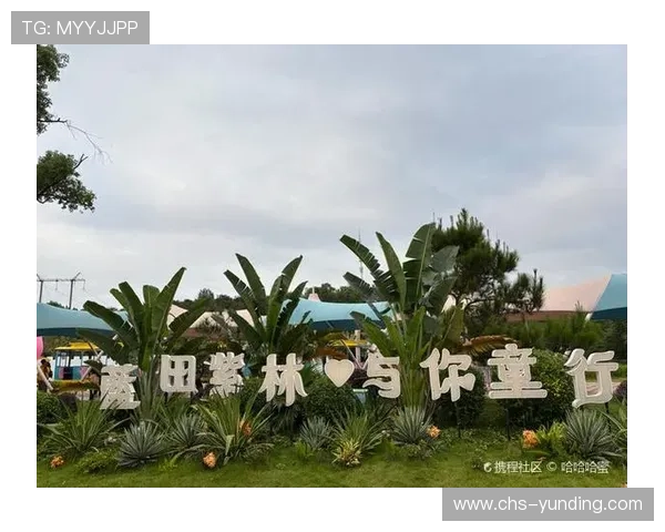 云顶国际首页优惠活动最新攻略，助你玩转各类精彩促销优惠