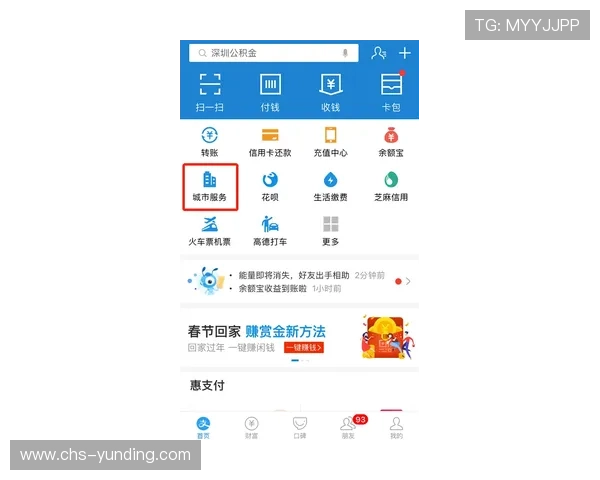 云顶官网入口安全指南，教你识别正规入口确保账号安全无忧