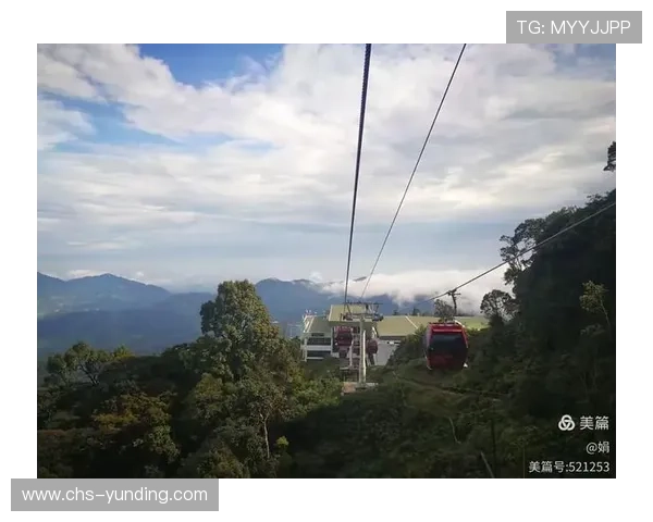 云顶集团官网登录入口马来西亚常见问题解答与解决方案分享