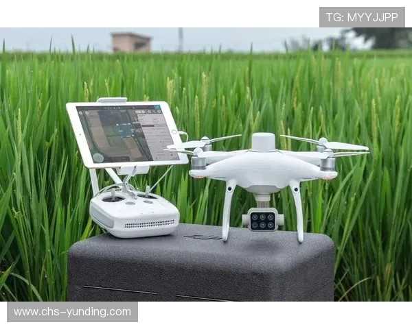 云顶集团官网下载apk官方渠道，确保下载安全无病毒，快速安装体验极致游戏乐趣